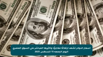 أسعار الدولار تشهد ارتفاعًا مفاجئًا وتأثيرها المباشر على السوق المصري اليوم الجمعة 15 أغسطس 2025
